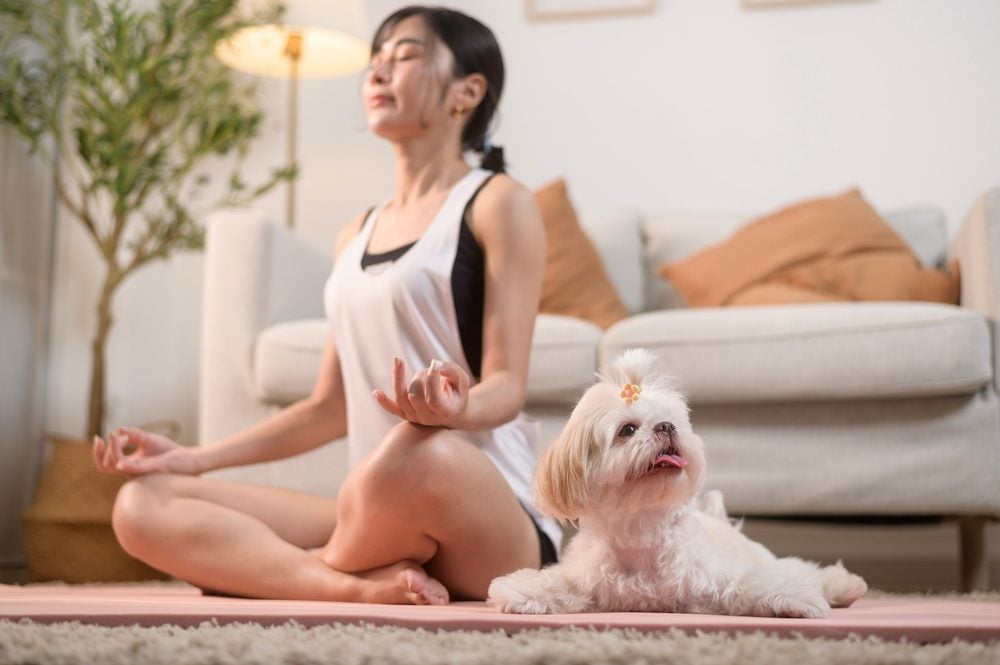 Young woman in sportswear doing meditation practice and yoga with cute dog in living room
