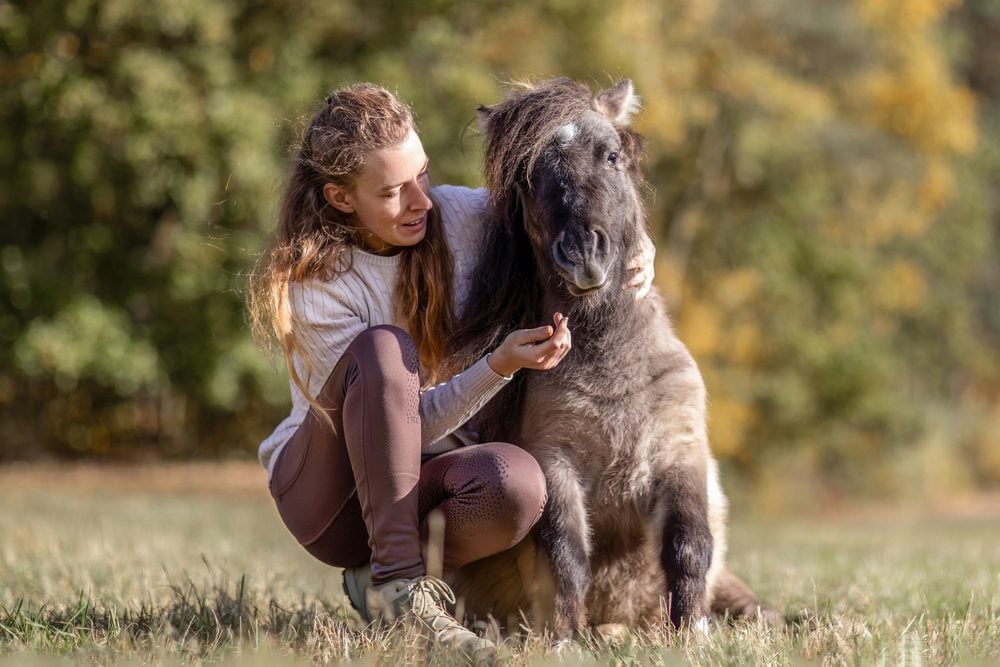 miniature-horse-service-animal