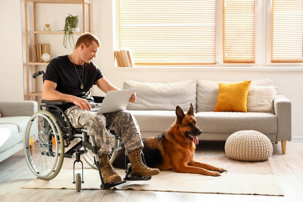 Soldier in wheelchair with laptop and his dog at home