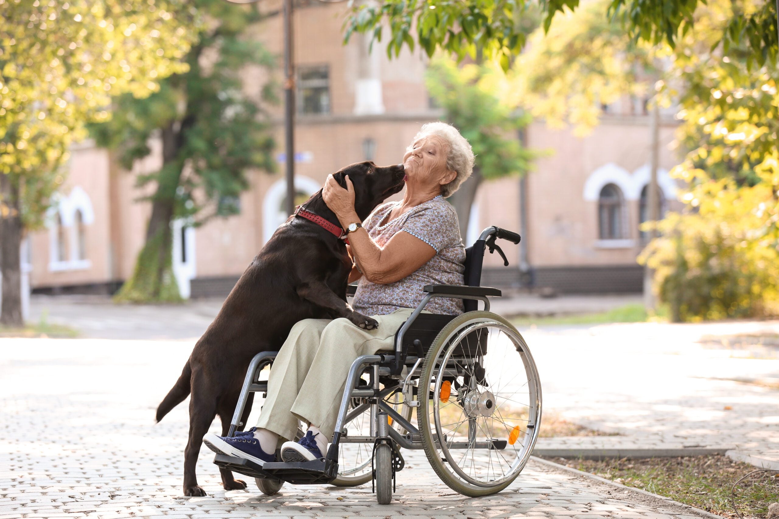 An elderly person hugging their emotional support animal at a park in Colorado.