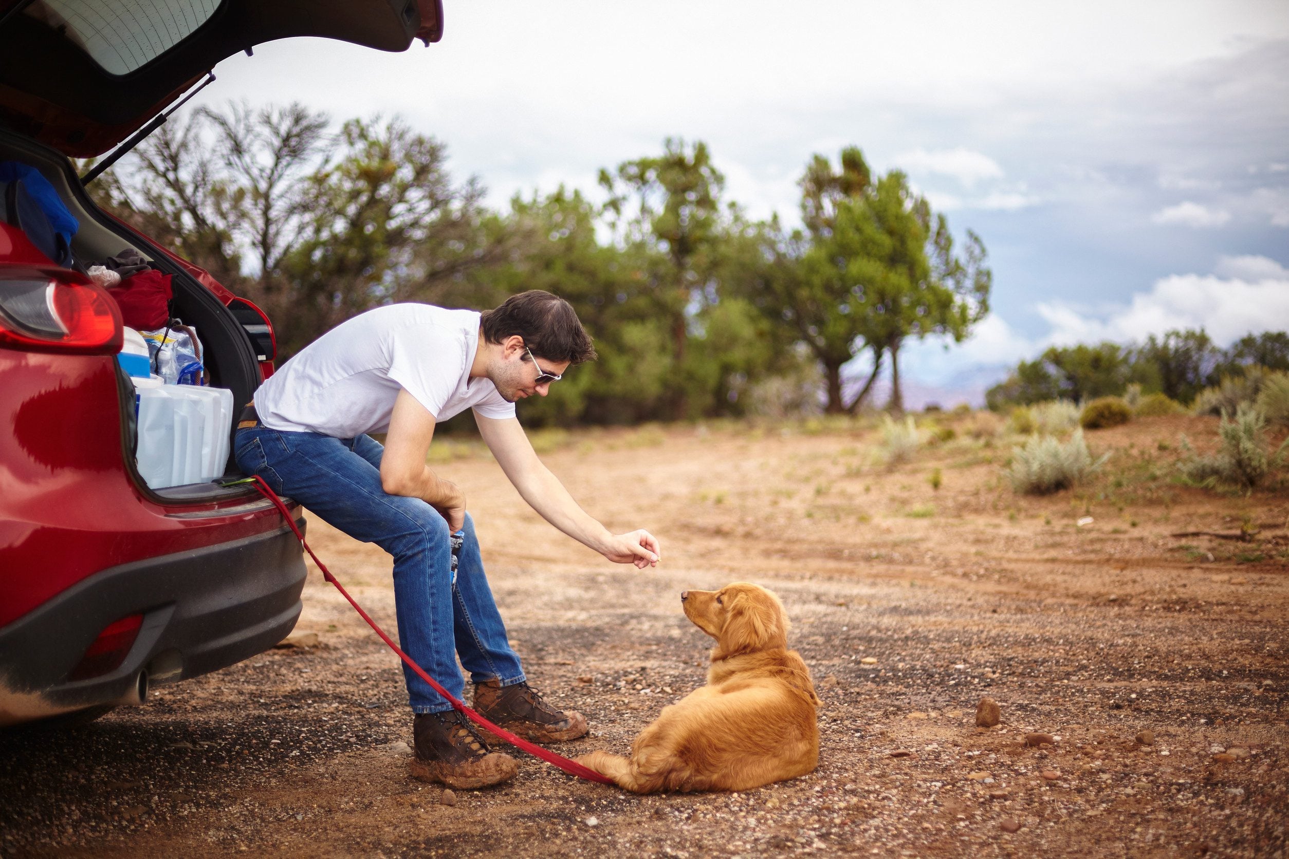 Man playing with dog in Utah.