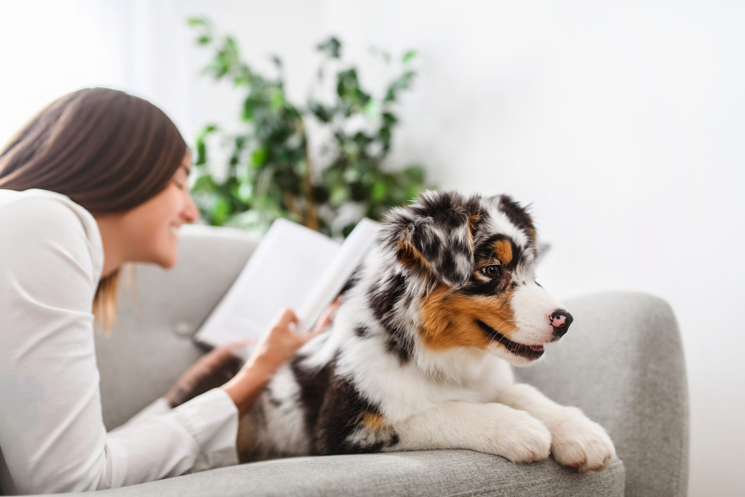 A young woman lying on a sofa next to her dog, while reading a book on emotional support animal laws in Wisconsin.