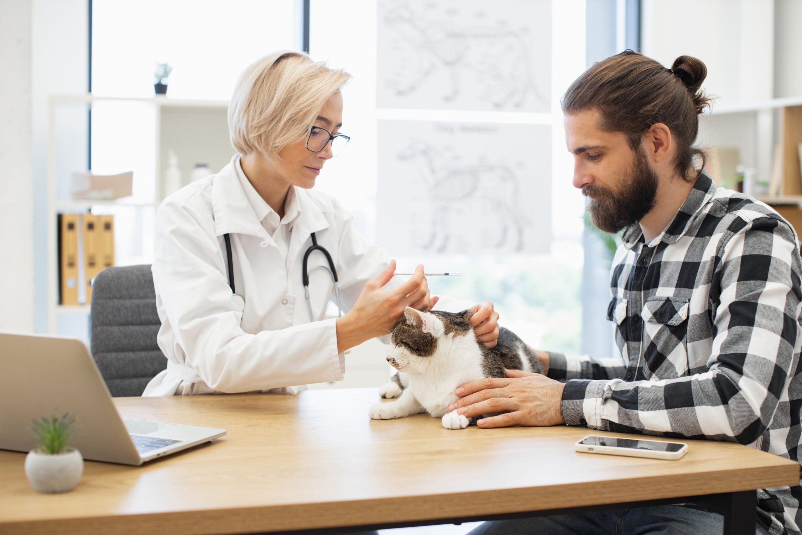 A veterinarian administering vaccination to a cat held by its owner, representing a good setting to discuss emotional support animal laws in North Carolina.