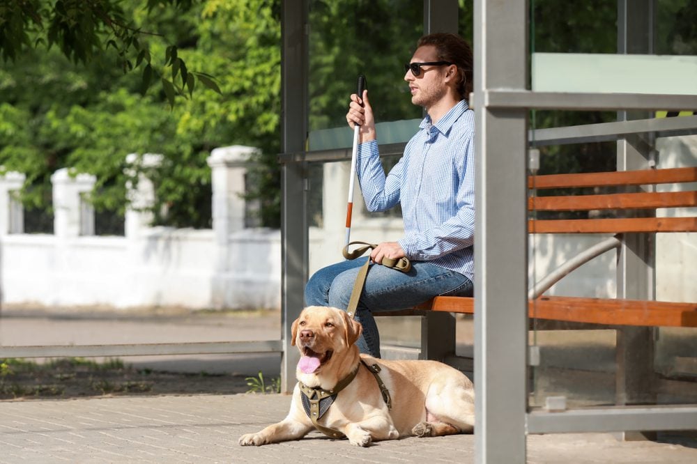 sitting blind man with service dog