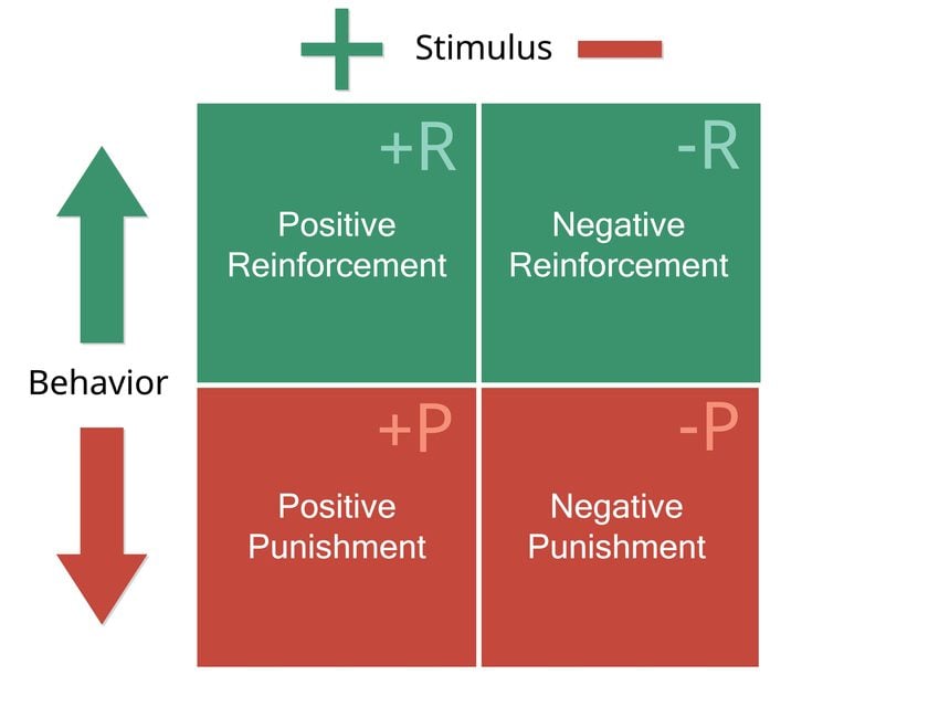 four quadrant operant dog training