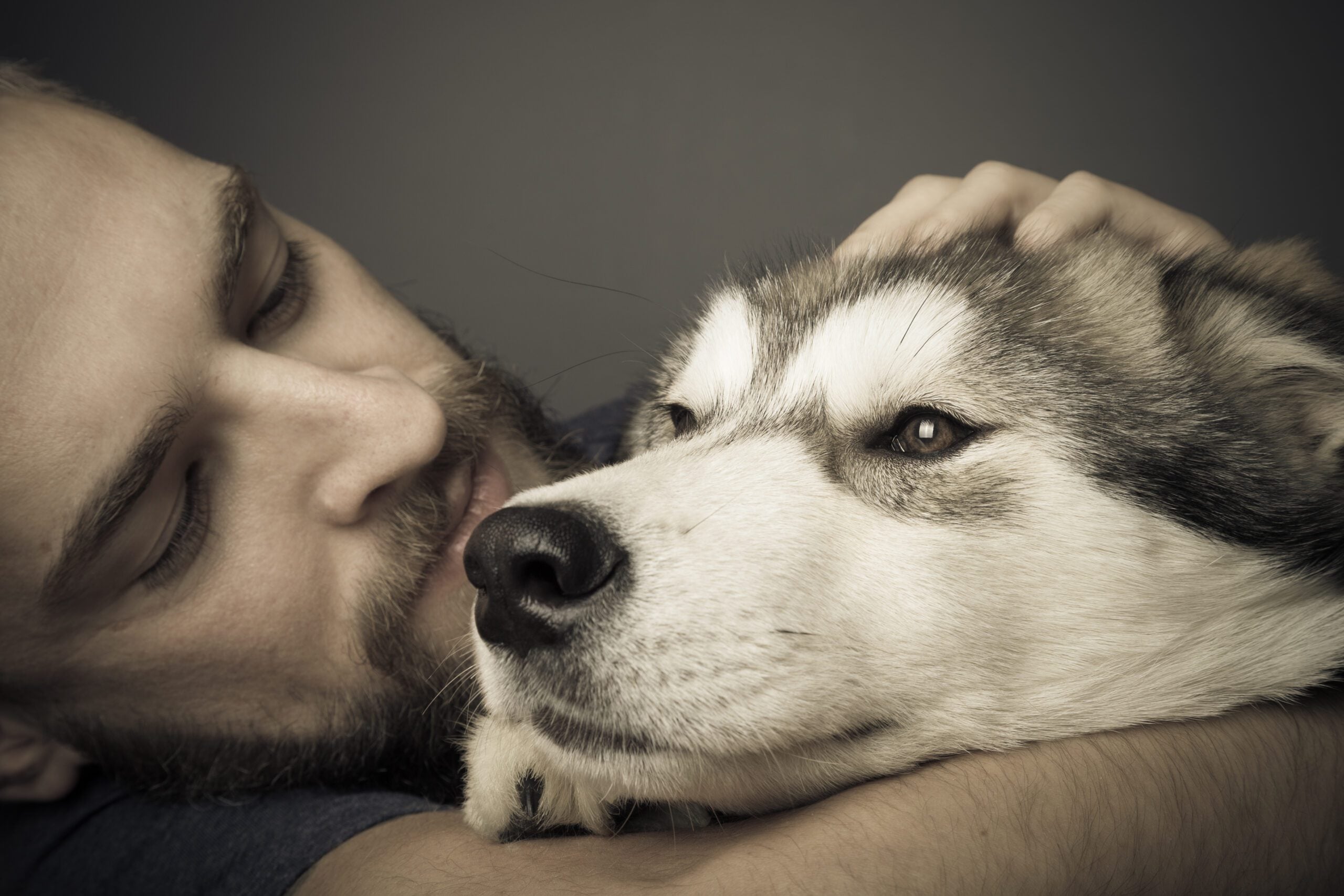 Man being comforted by an emotional support animal dog.