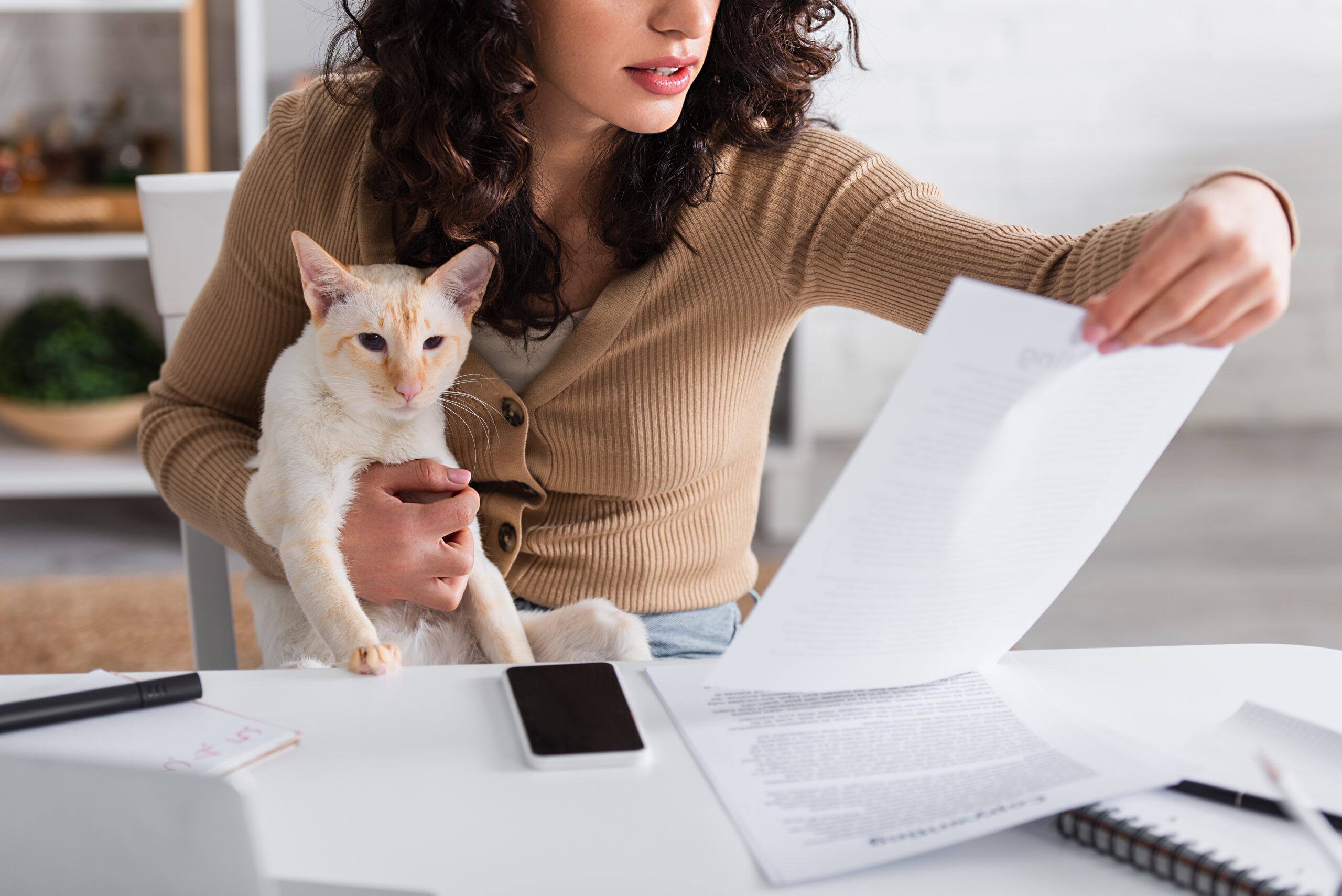 A woman sitting on a desk in her home, holding a cat and reading a document explaining the emotional support animal laws in Washington.
