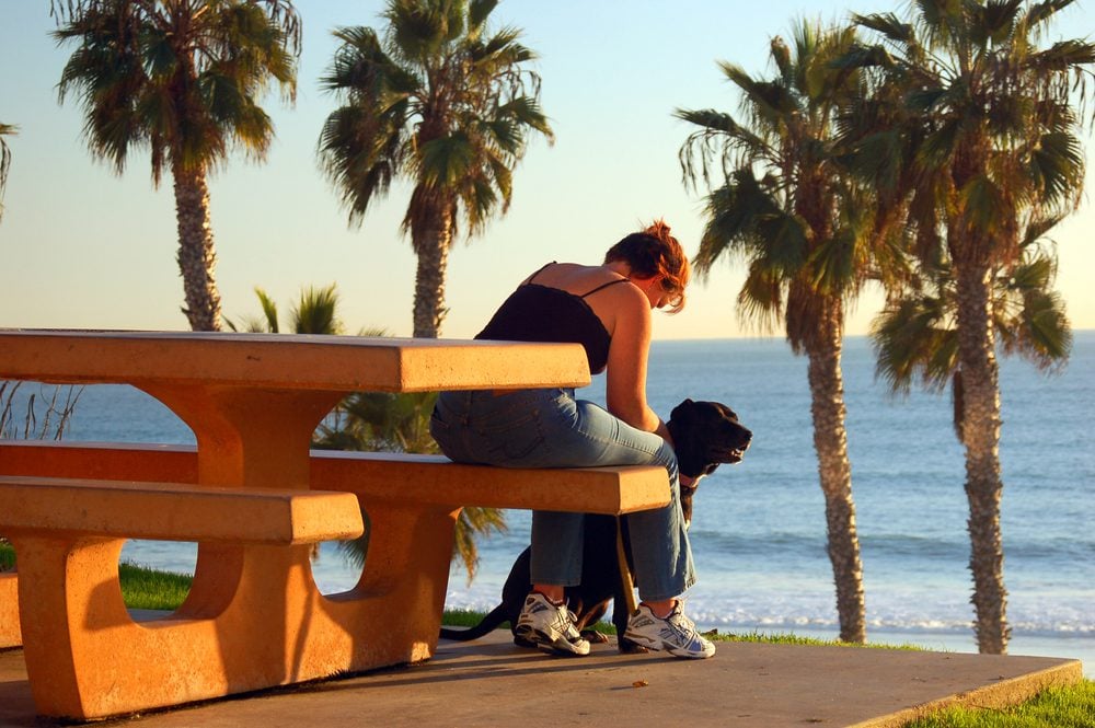 woman with dog by beach