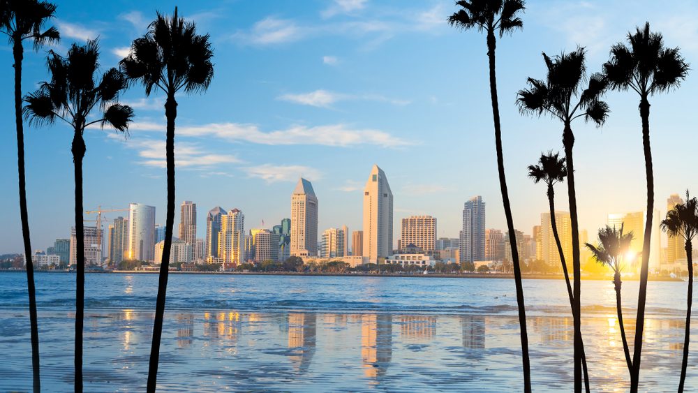 Downtown San Diego skyline view through palm trees