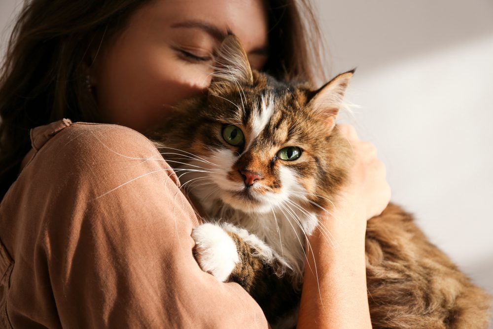 Woman cuddles a brown and white cat