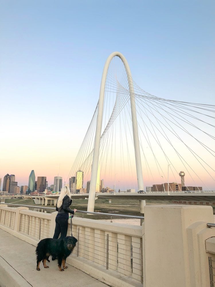Woman walking dog on Margaret Hunt Hill Bridge in Dallas