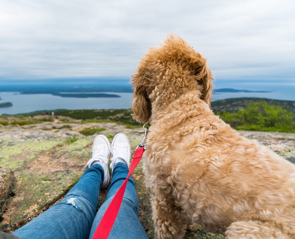dog and woman on mountaintop