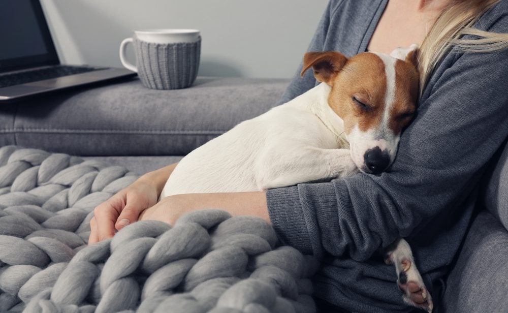 woman and dog cuddling on a bed with blanket