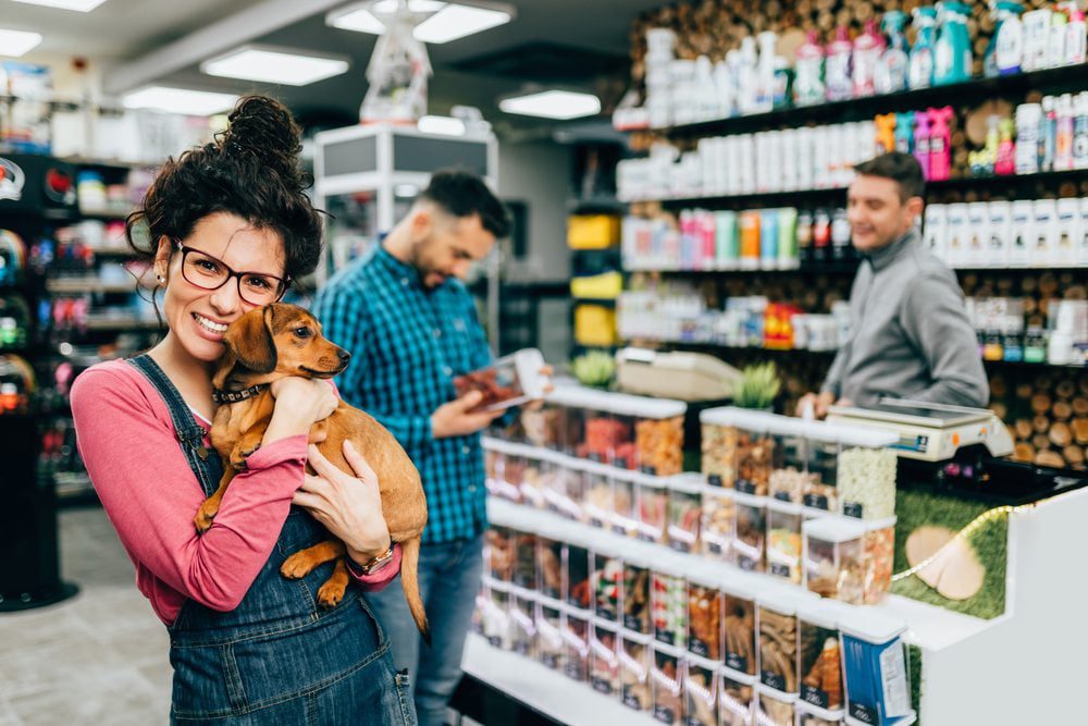 dog held by owner in store