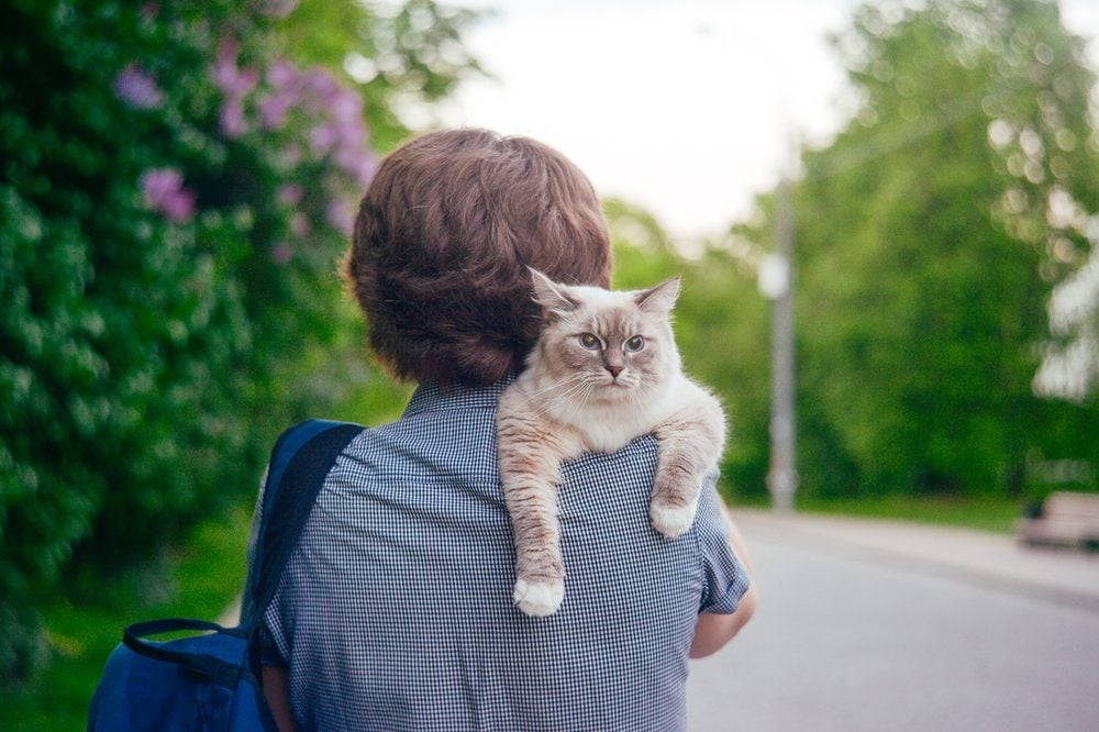 man walking while holding a cat