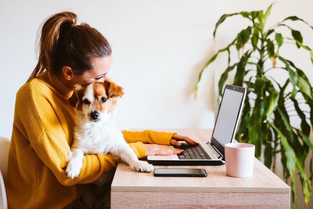 woman working with puppy on lap
