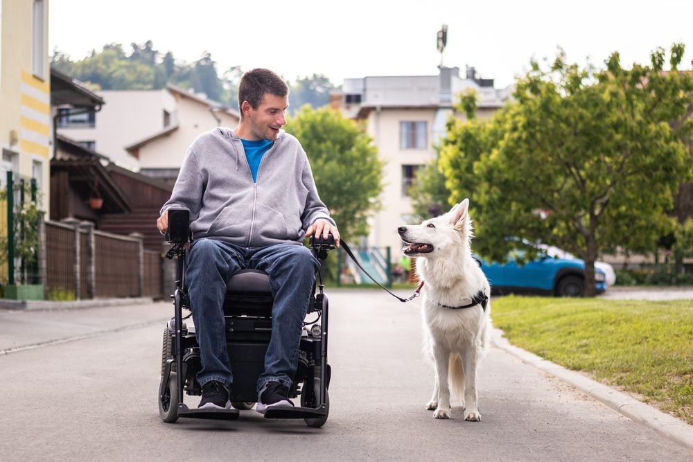 man in wheelchair with service dog