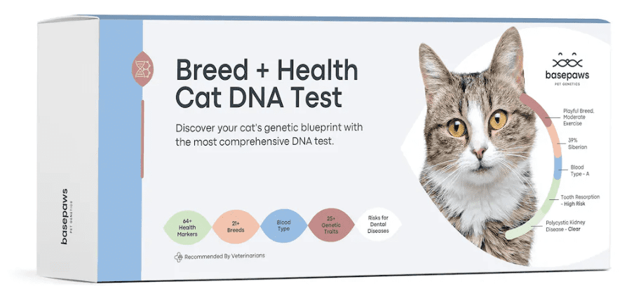 product package for basepaws cat dna test