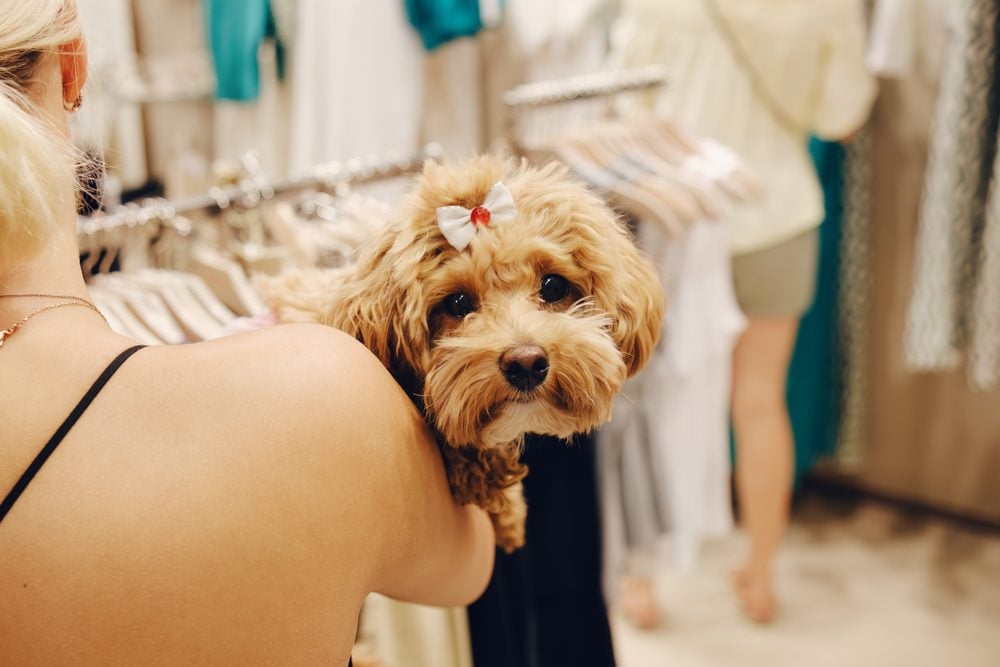 woman holds dog while shopping