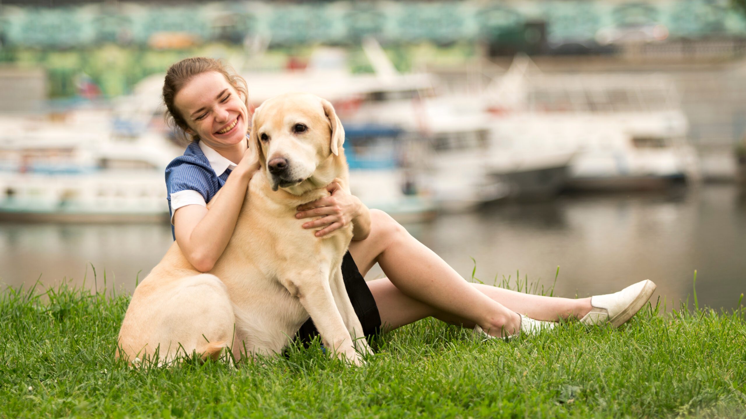 A young woman and her Labrador, sitting on a park in Arlington.