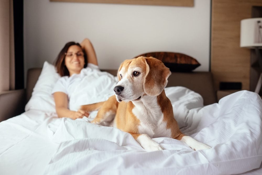 woman and dog in hotel room