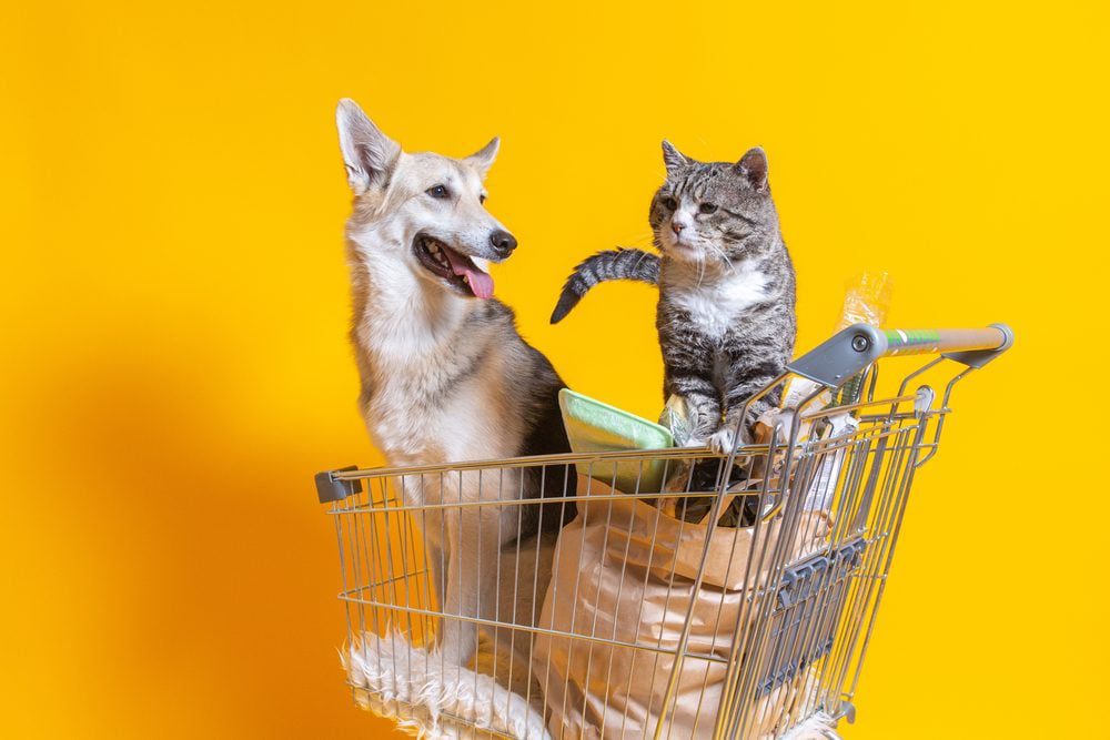 Are Dogs Allowed in Menards?