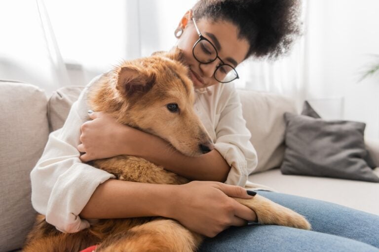 young woman petting dog on couch