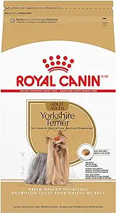 Royal Canin Yorkshire terrier