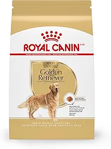 dog food
