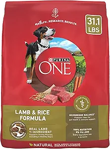 ONE Food Bag