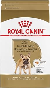 French bulldog food