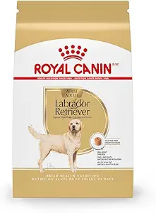 Royal Canin lab food
