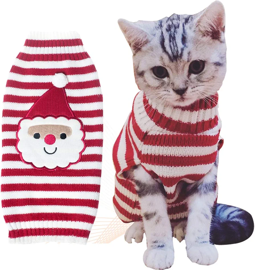 Cat in a Santa sweater