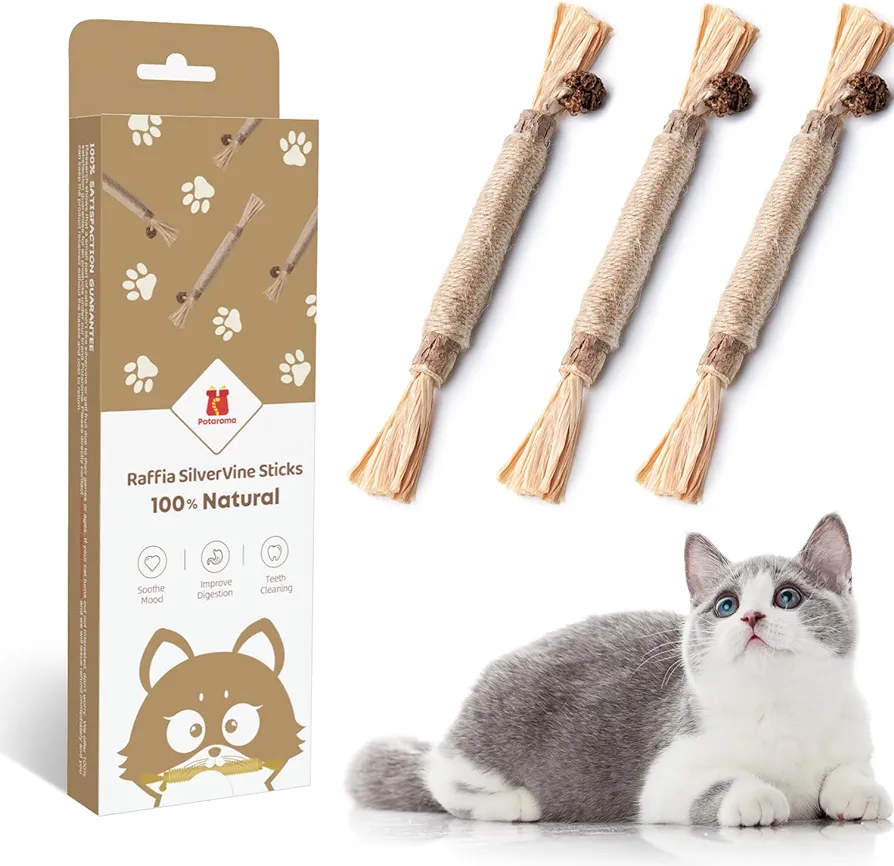 Cat looking up at rope toys