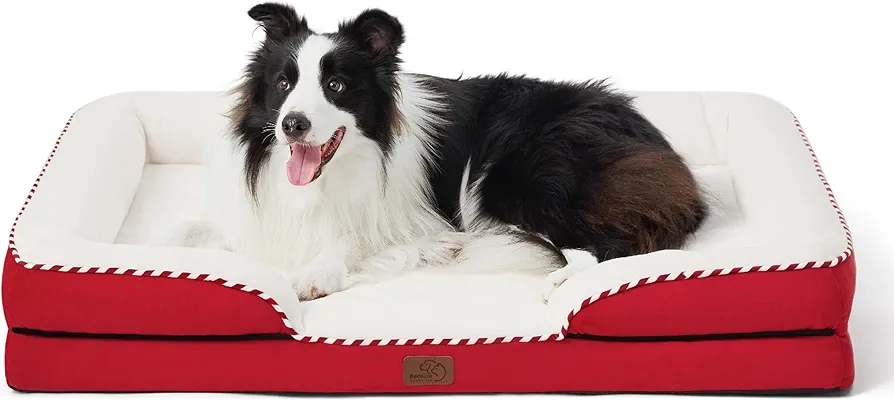 Dog in a dog bed