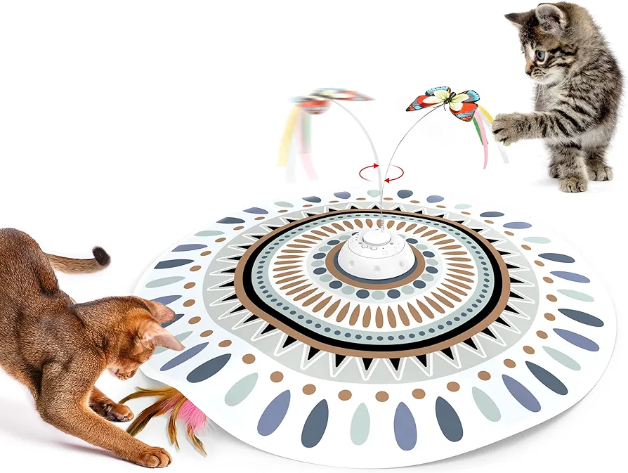 Cats playing with round feather cat toy