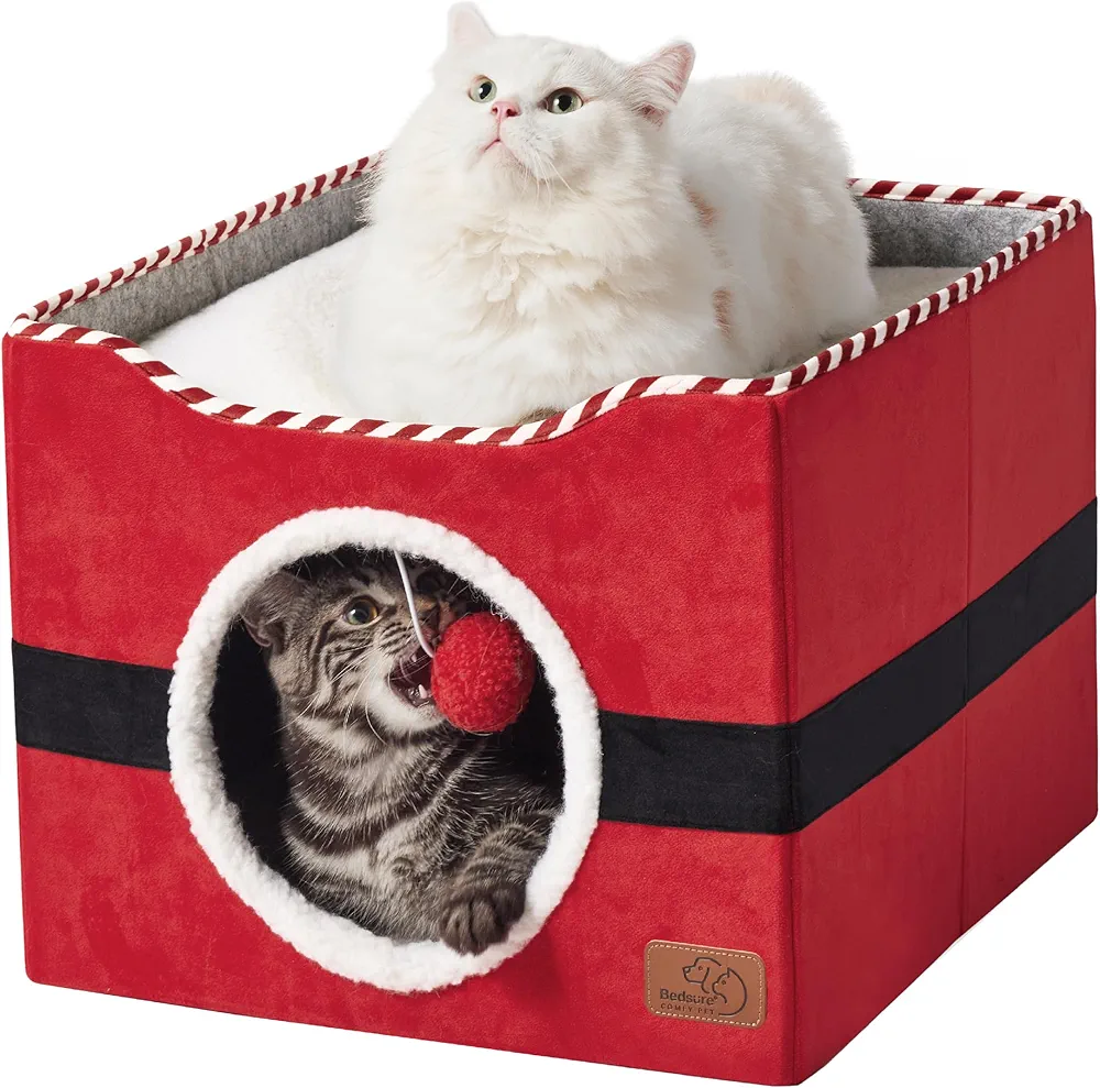 Two cats in a cat bed