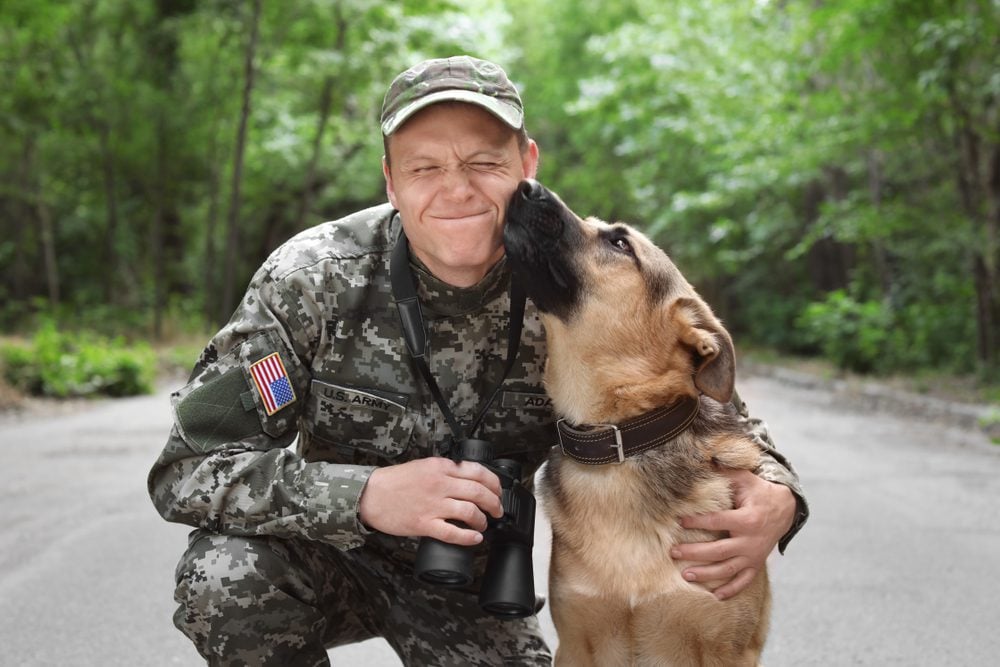 soldier with a dog
