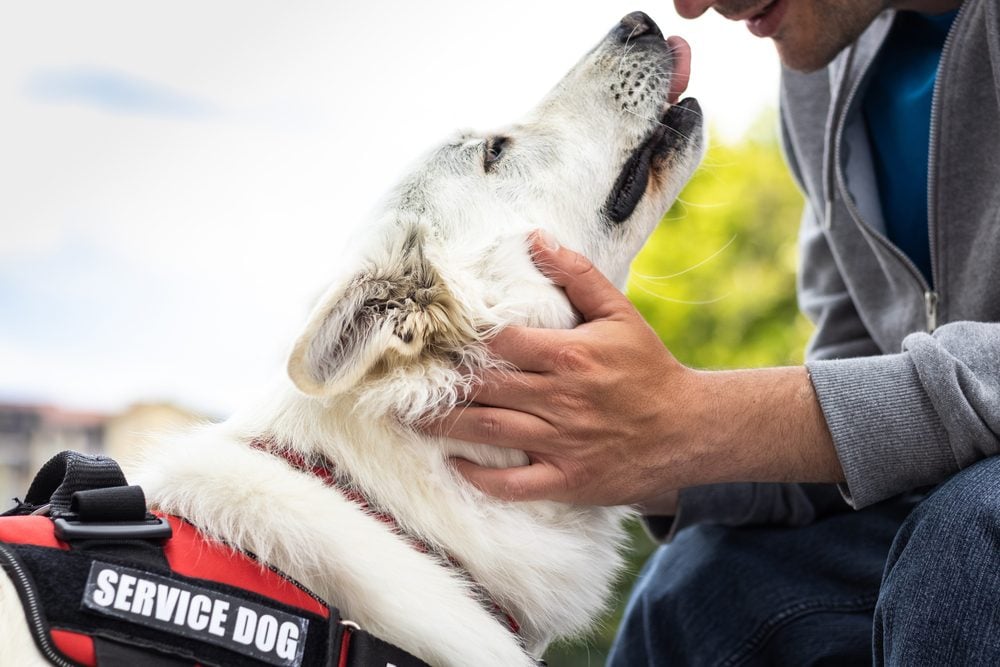 a man with service dog