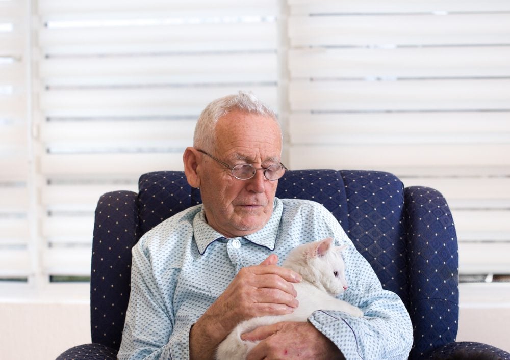 elderly man sitting holding therapy cat
