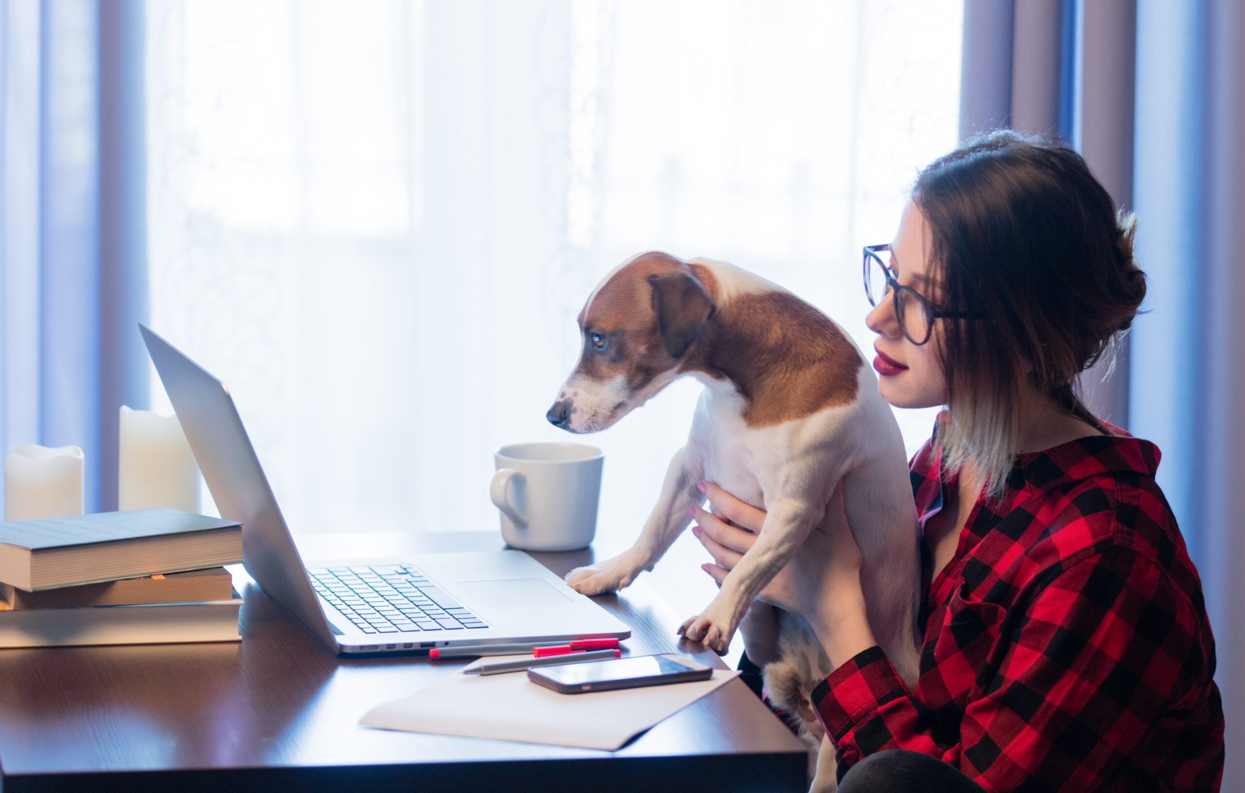 A woman holding her dog while reading about the emotional support animal laws in Ohio on a laptop at home.
