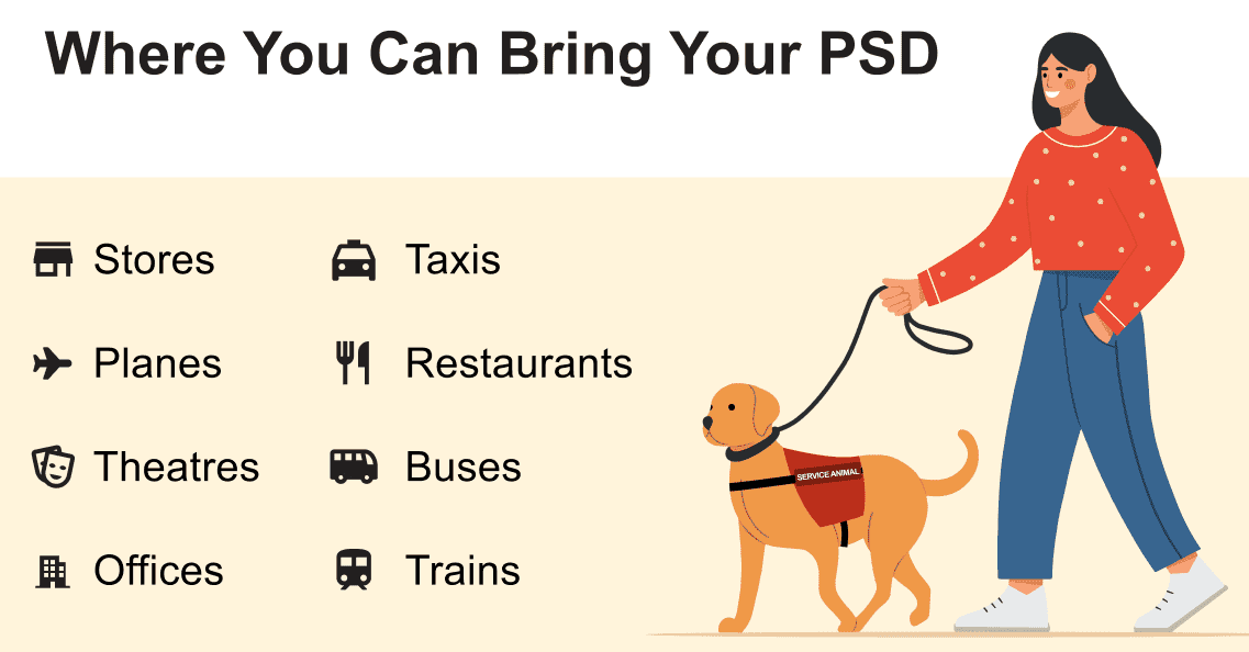 Where You Can Bring Your PSD