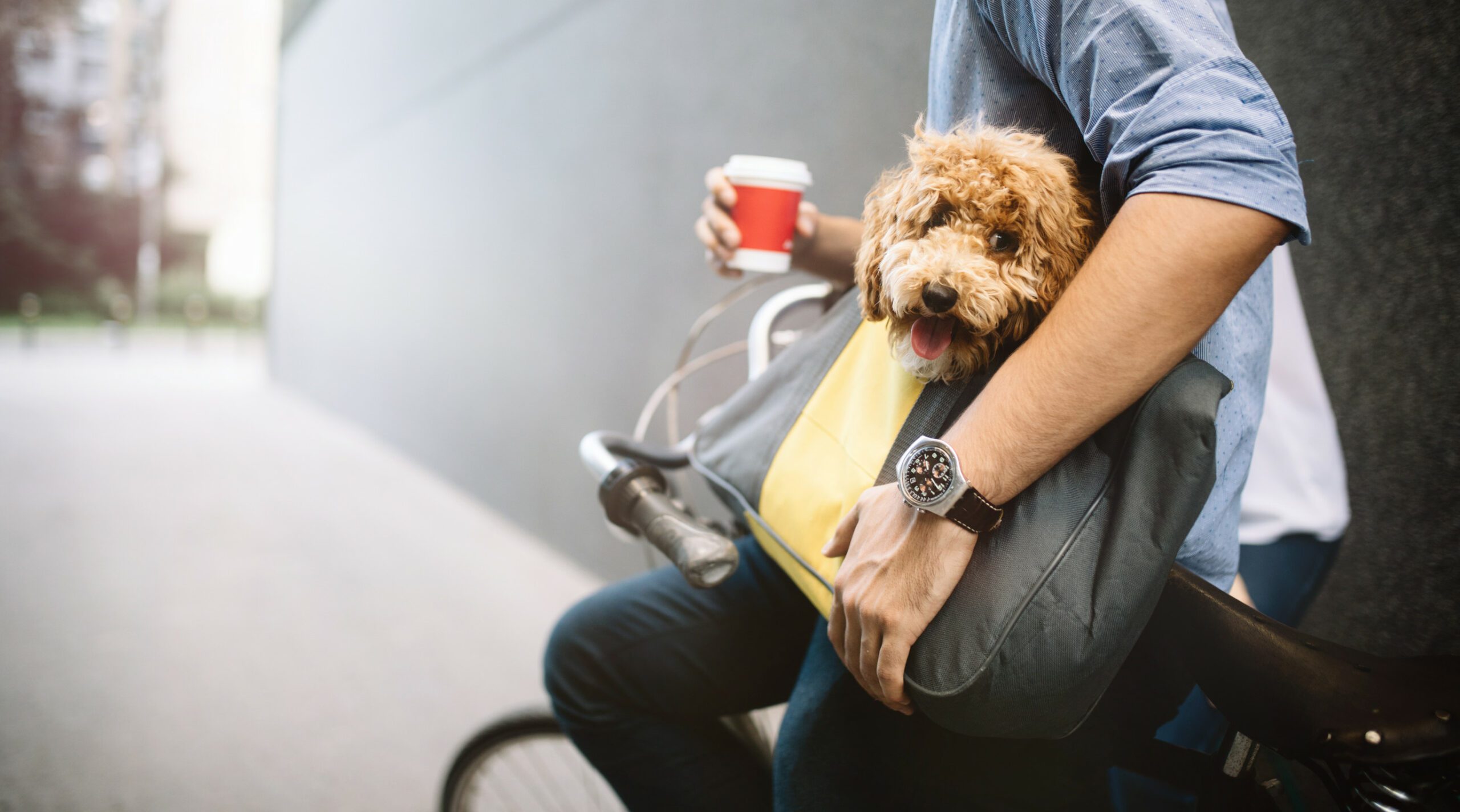 A man sitting on a bicycle with an emotional support animal outside in Fresno.