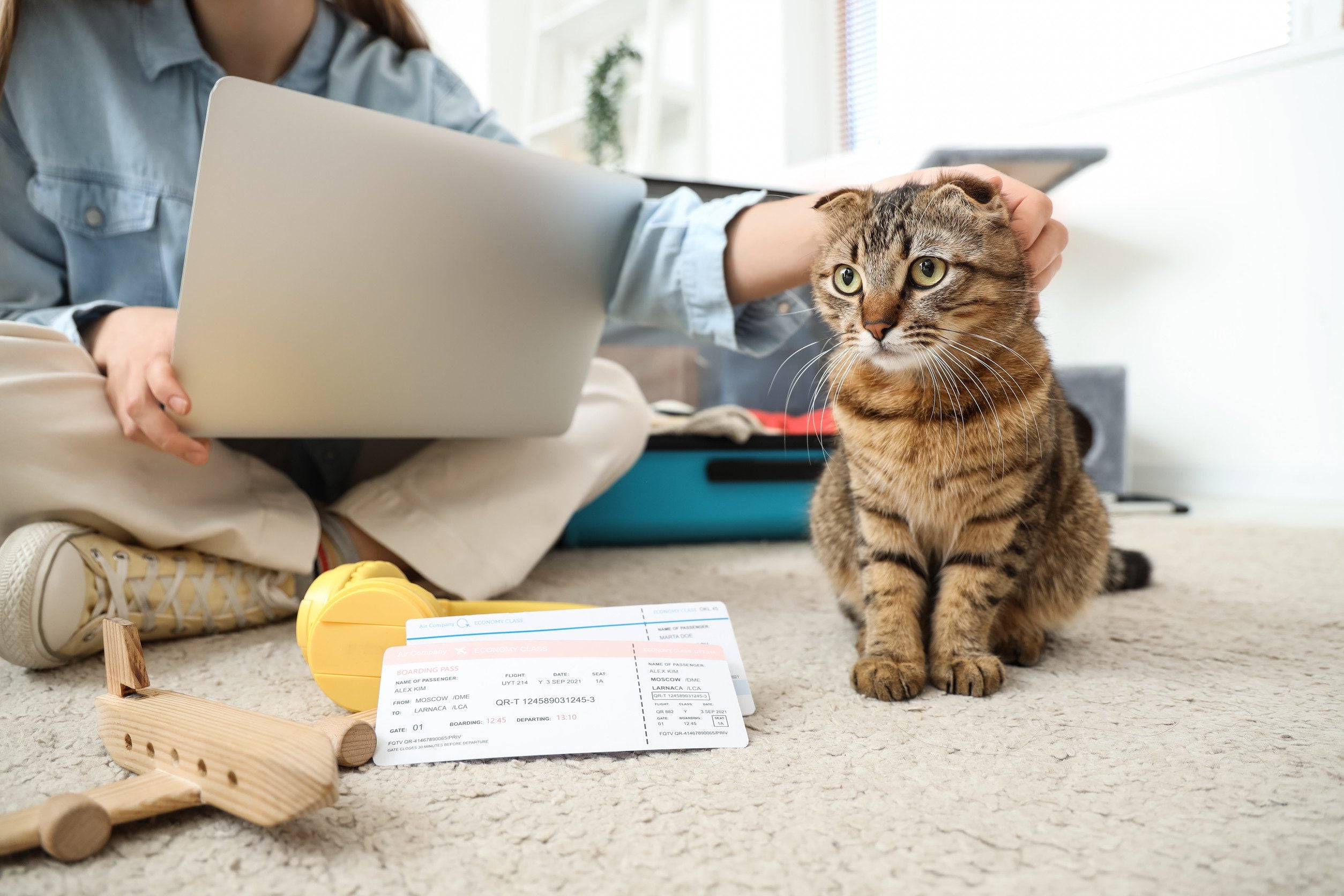 A woman sitting with her cat and an emotional support animal (ESA) letter in Boston.