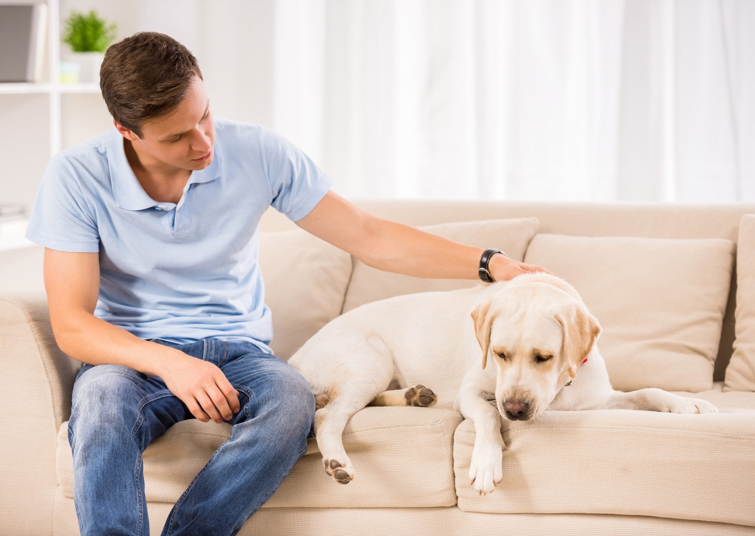 A young man sitting with a Labrador on a couch inside a cozy living room in Chandler, AZ.