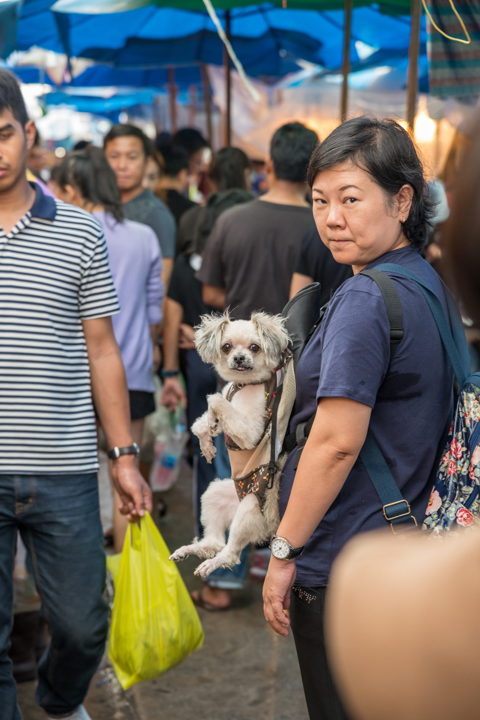 A woman stands in a Sacramento outdoor market with her small ESA dog in a babysling.