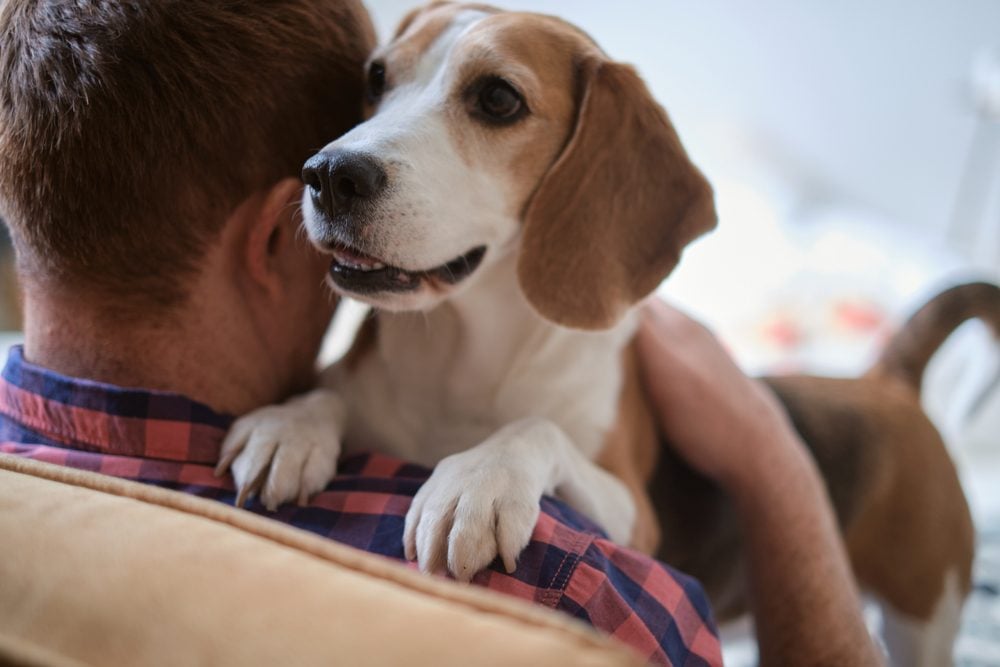 Backside view of a man and his emotional support dog sitting at home in Anchorage, AK.