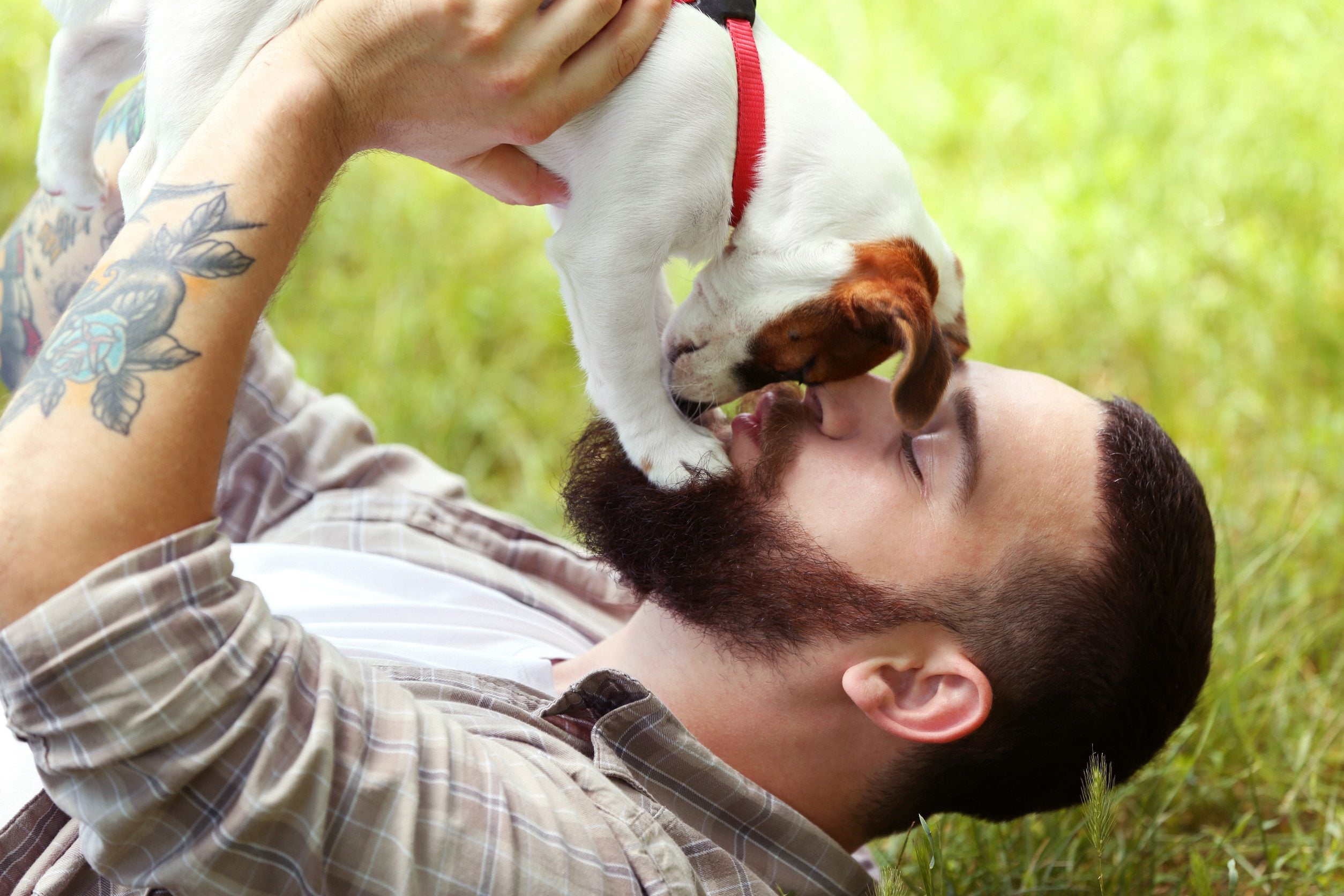 A bearded man playing with his emotional support animal in a park in Bloomington, MN.
