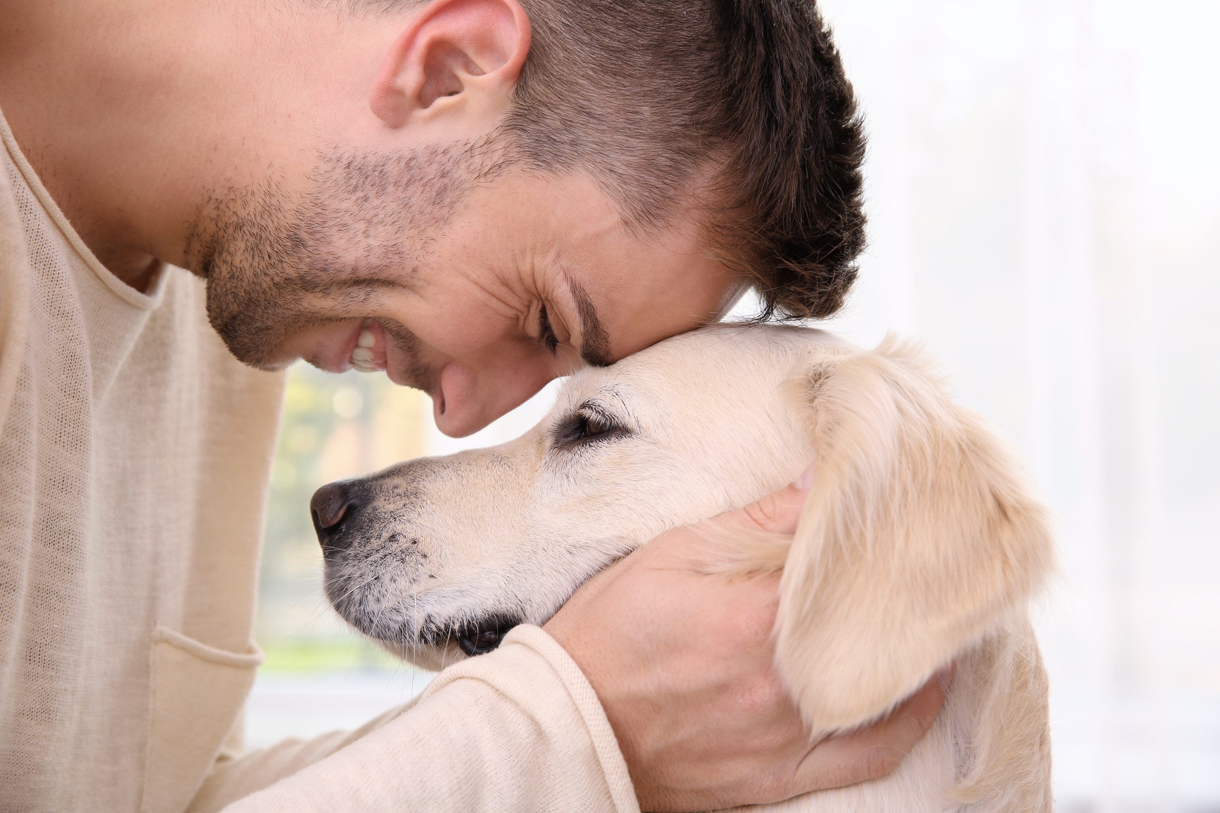 Man pressing head against emotional support animal.