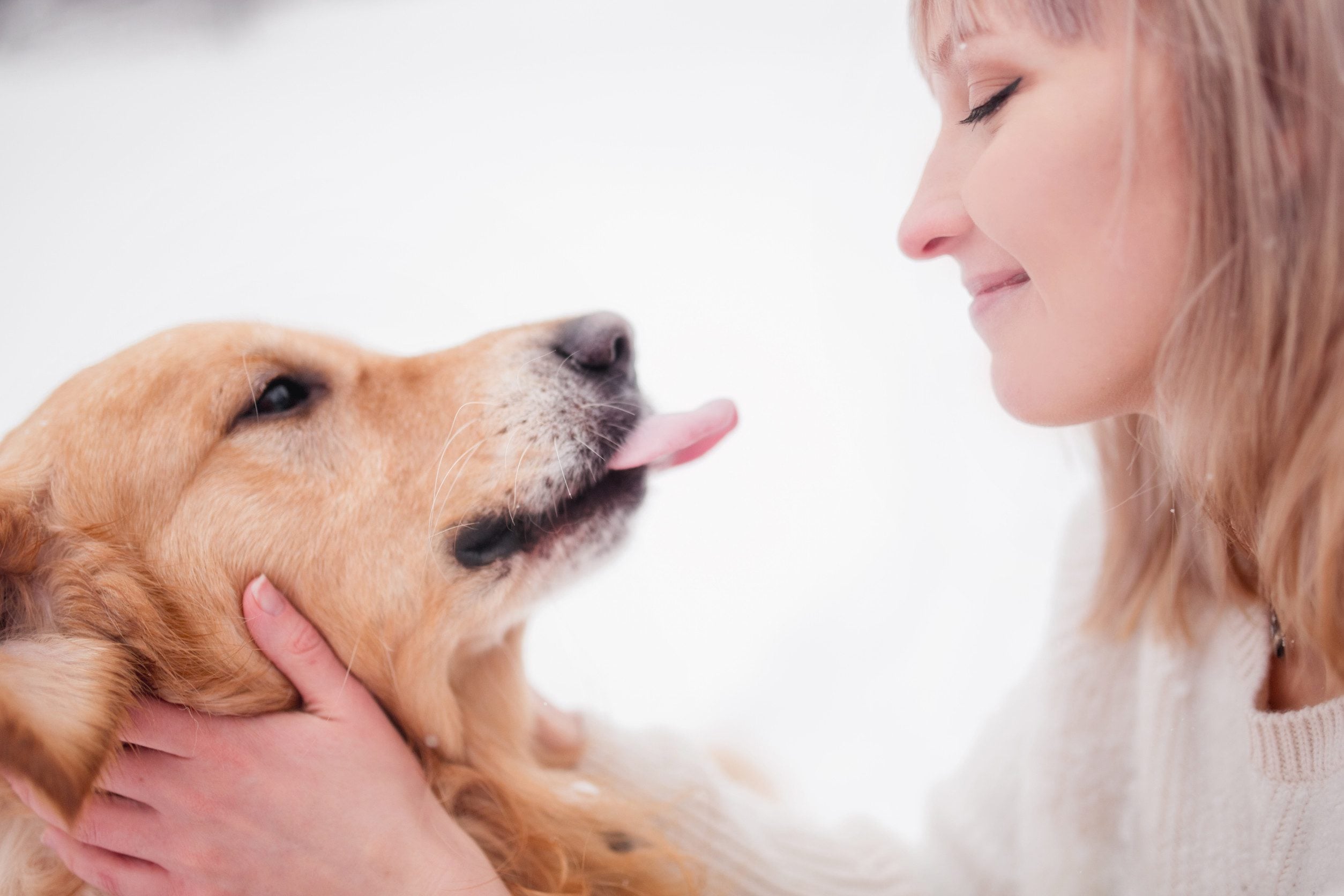 A golden retriever ESA comforting owner in Gulfport.